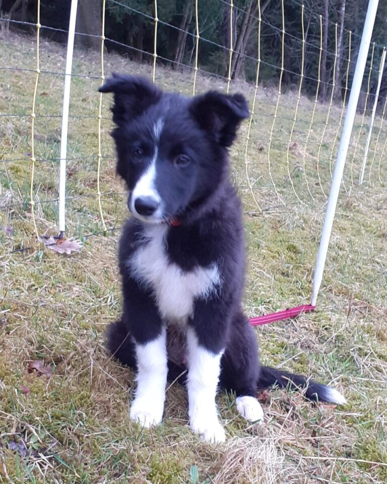 Lad at 3 months